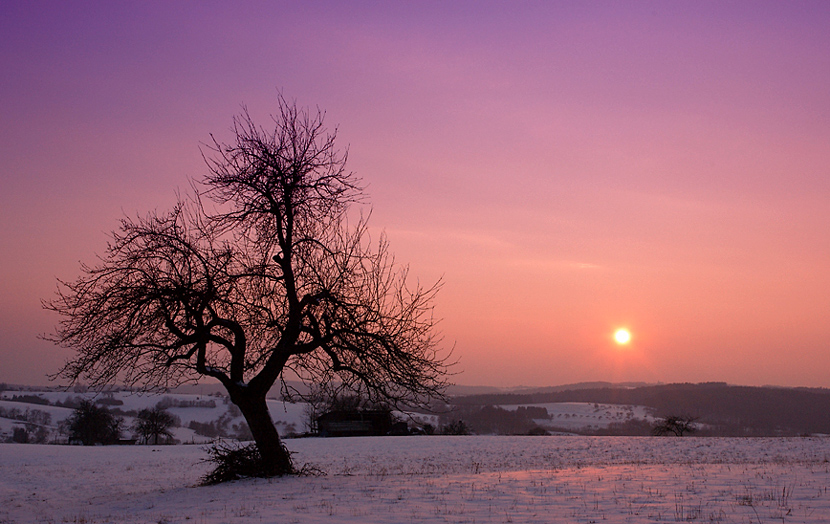 a winter fairytale