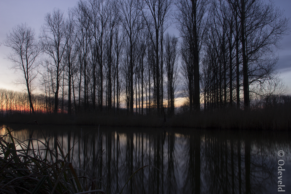 A winter morning on the Zuidlede.