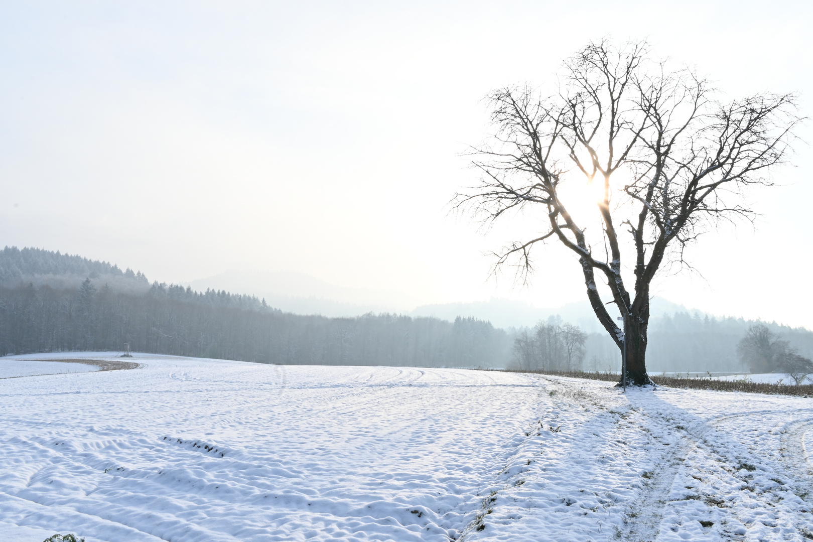 a winter's day