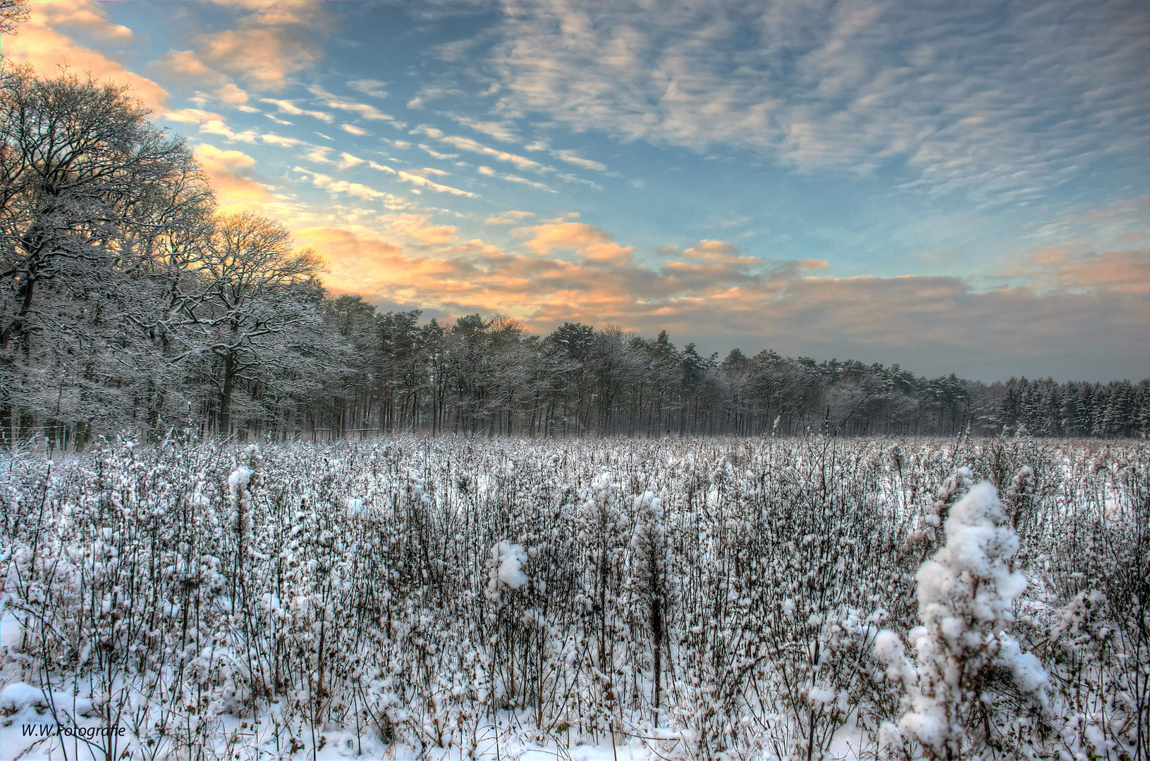 a winter´s day