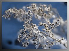 A Winter's Painting