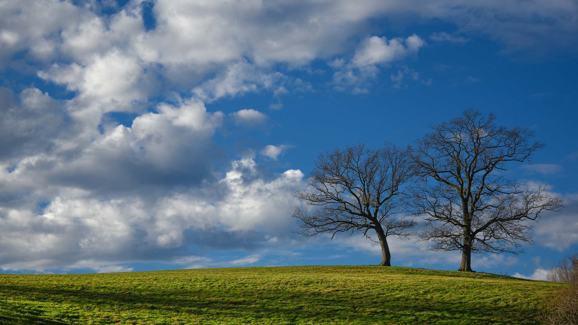 A winter's sky