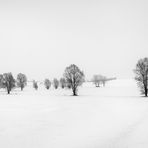 A WINTERS TALE [02|BW]