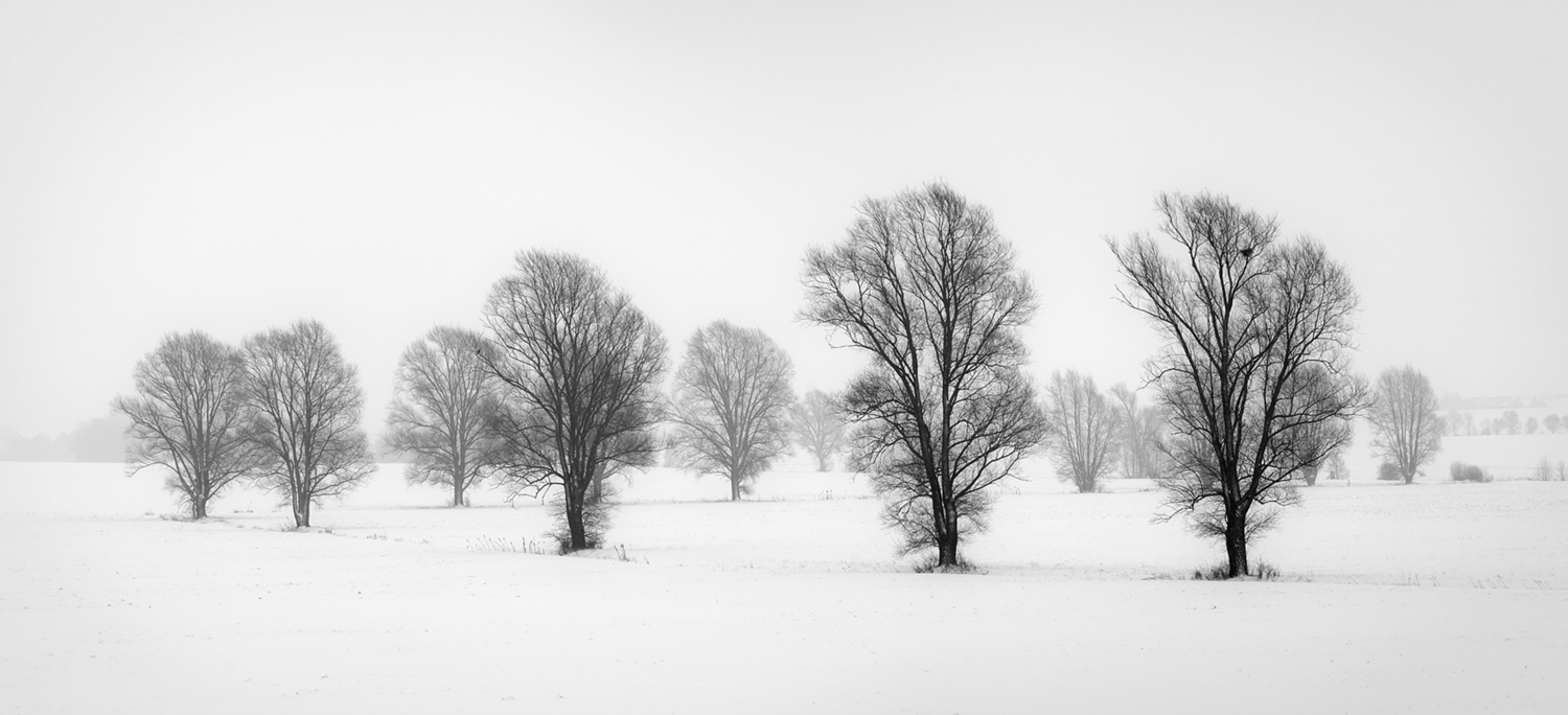 A WINTERS TALE [03|BW]