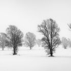 A WINTERS TALE [03|BW]