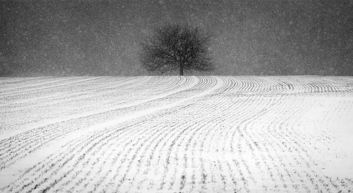 A WINTERS TALE [04|BW]