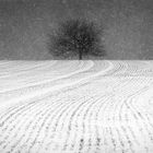 A WINTERS TALE [04|BW]