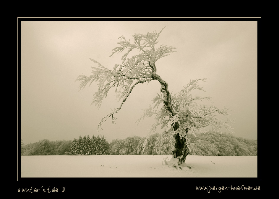 a winter´s tale III