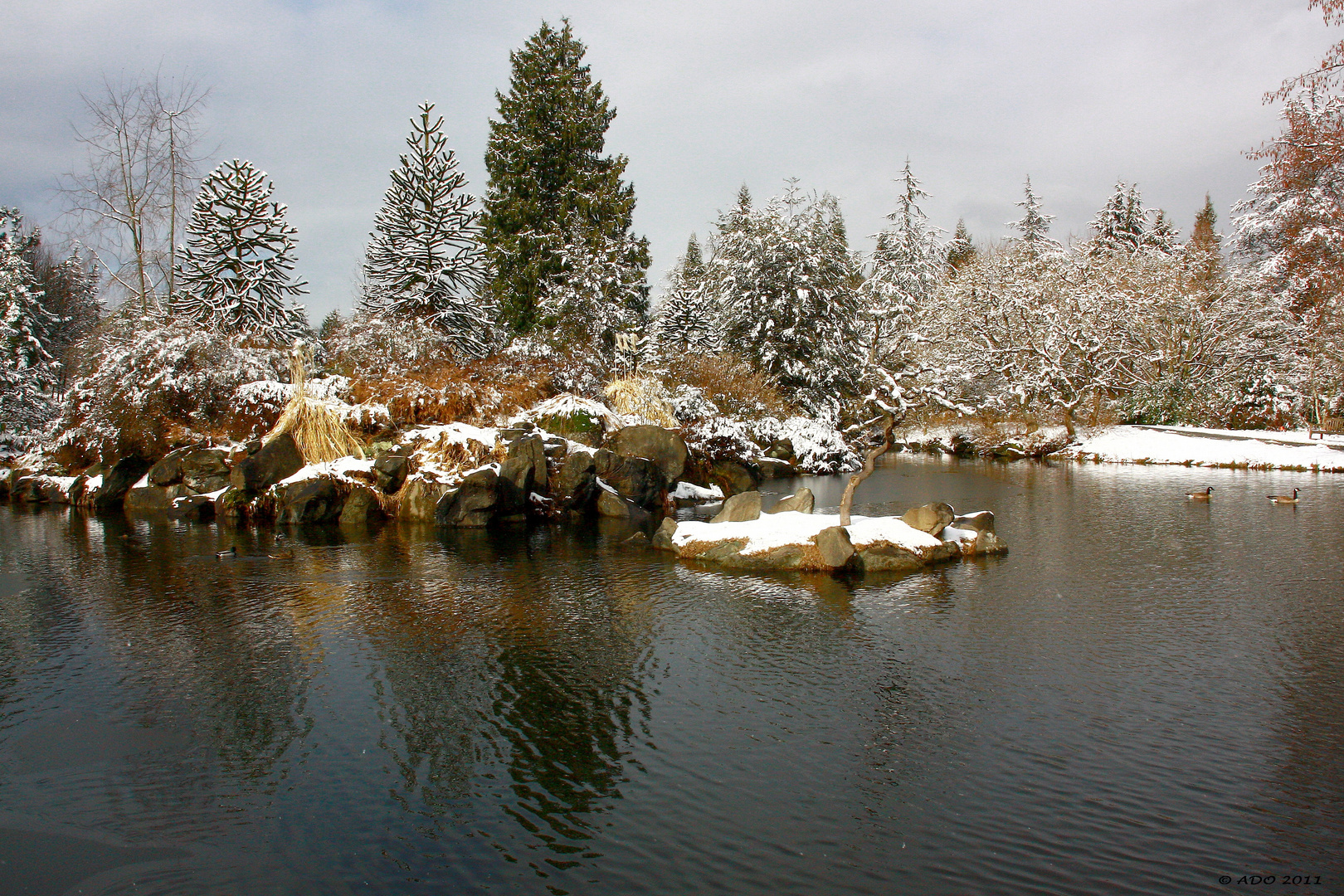 A Wintry Walk through the Park