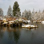 A Wintry Walk through the Park