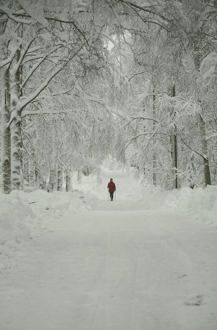 A woman on wintry way