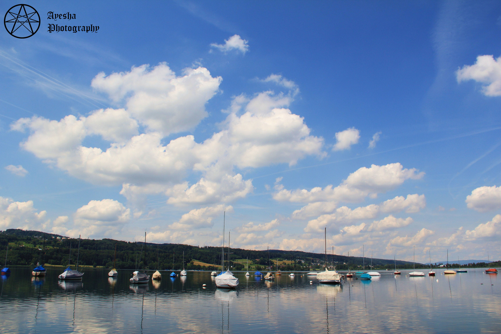 A wonderful summer day