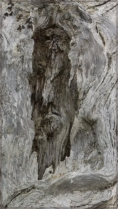 A wooden face