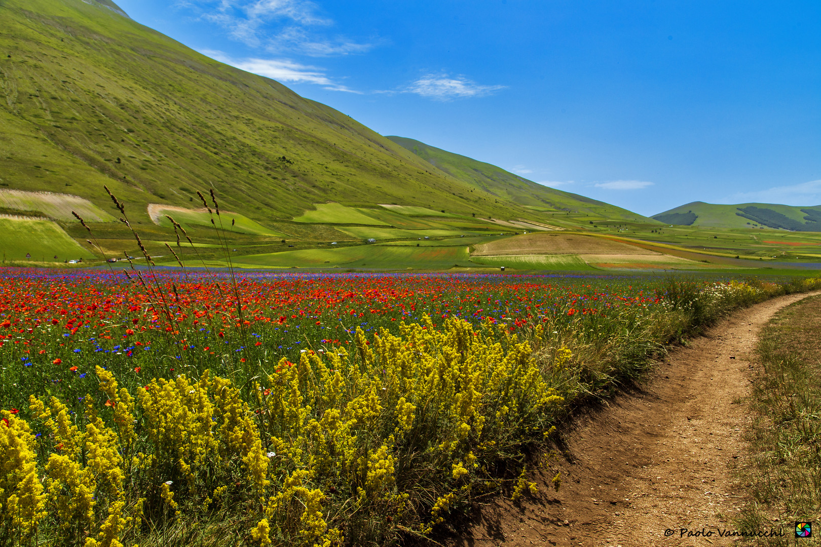 A world full of flowers for future generations ...