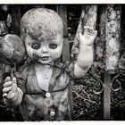 A World of Lost Dolls