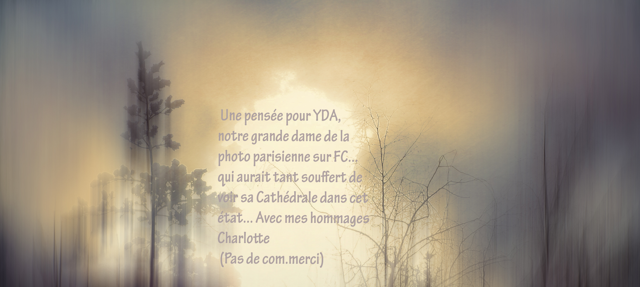  A  "YDA "    Grande dame de la photo sur FC