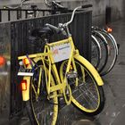 A YELLOW BIKE