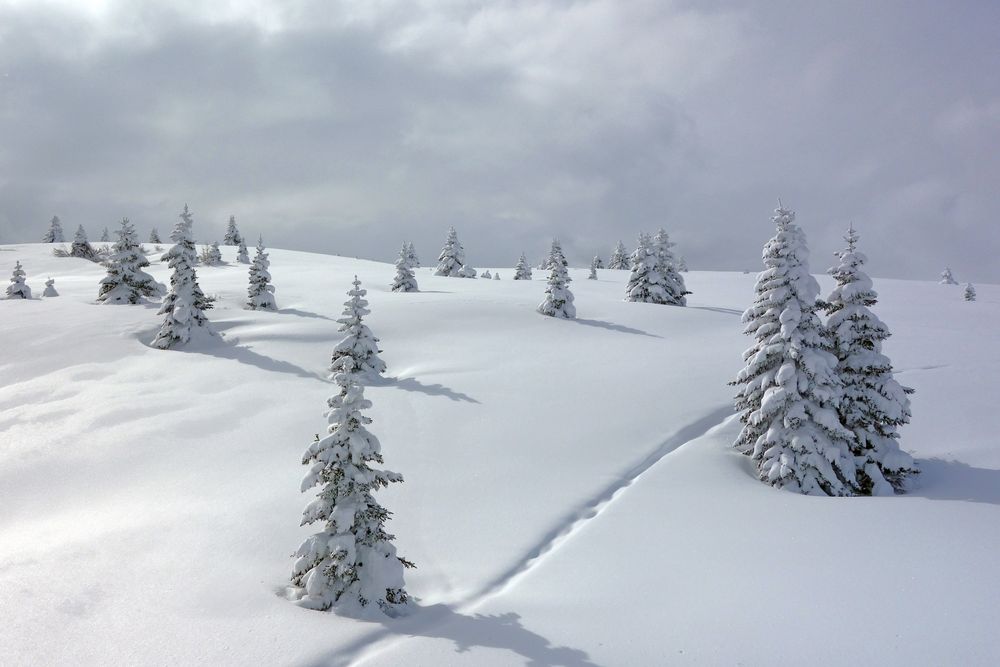 Schneelandschaft von Mimi 2014