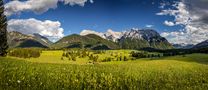 ~ BUCKELWIESENBLÜHEN ~ de Ru-Po