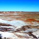 The Painted Desert