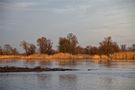 wenn auch kein Schnee - an der Oder ist es immer schön :-) by Iris Linder 