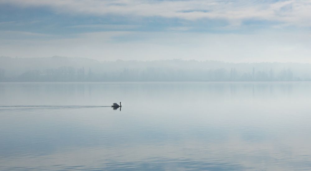 Seeherbst 3 von ECR