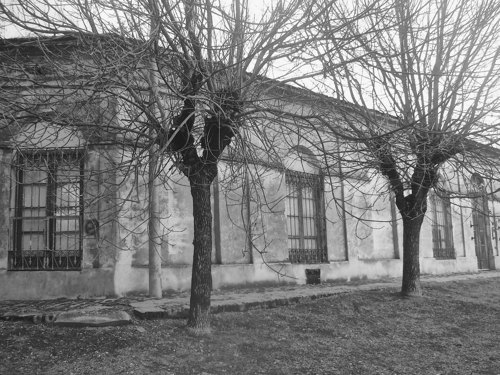 INVIERNO,PUEBLOS DE CAMPO de Violeta Millan