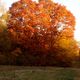 Herbstliche Impressionenen_4