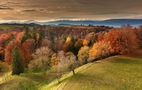 Herbstwald von Alexander Gellner
