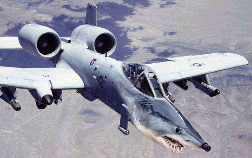 A19A shark