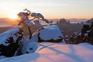 Erinnerung an den letzten Winter... von Mike Hannig