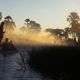 Unterwegs im Okawango-Delta