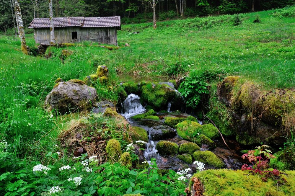 Petit coin de paradis de collotsylvain 