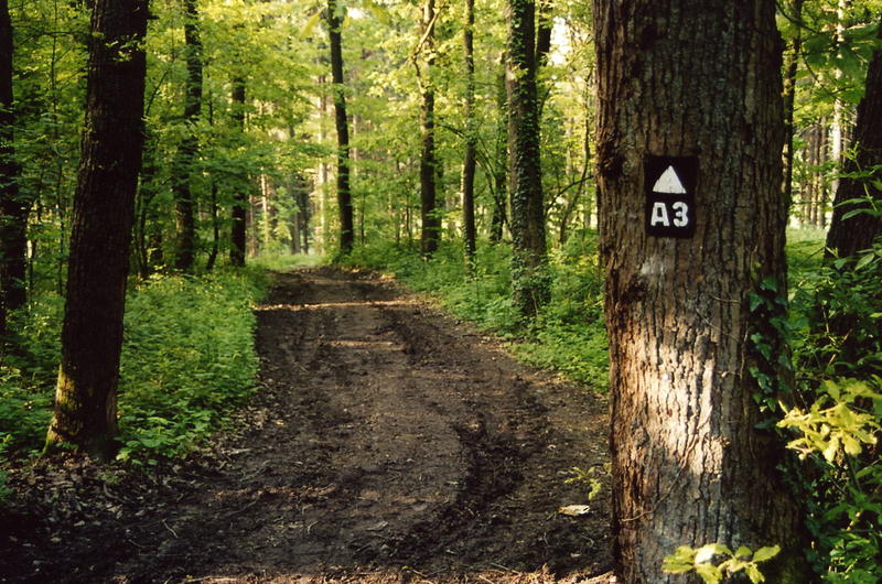 A3 Köln- Frankfurt