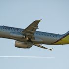 A319