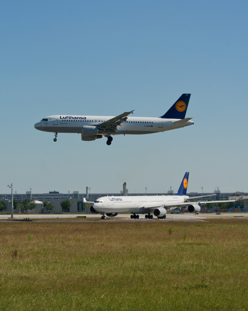A320 und A340-600