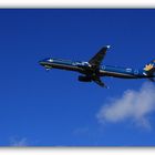 A320 Vietnam Airlines Airbus Hamburg - Finkenwerder