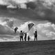 Autumn time for kite flying