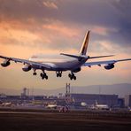 A340-313 (Lufthansa)