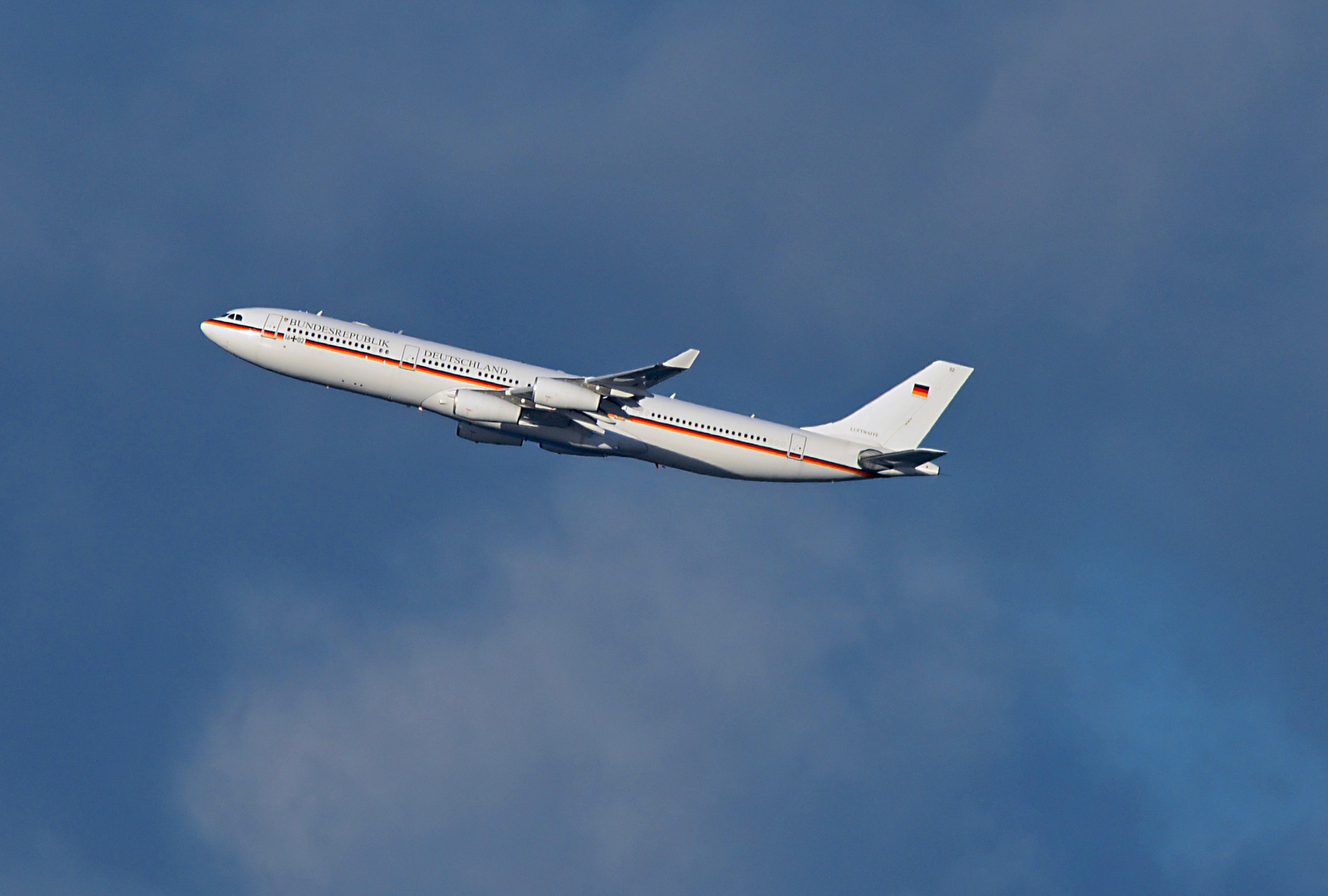 A340 der Deutschen Luftwaffe (Theodor Heuss)