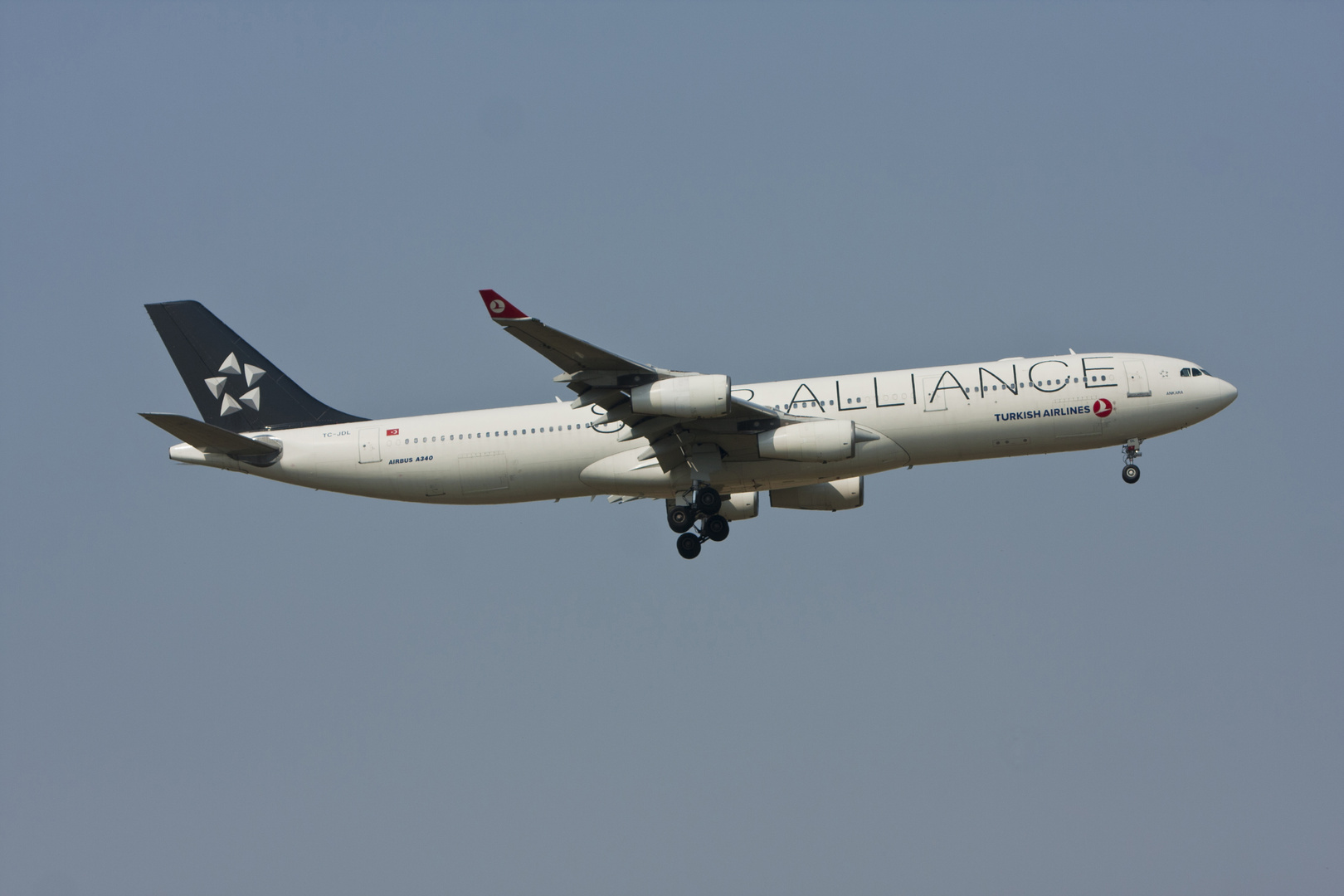 A340 Star Alliance Turkish Airlines...