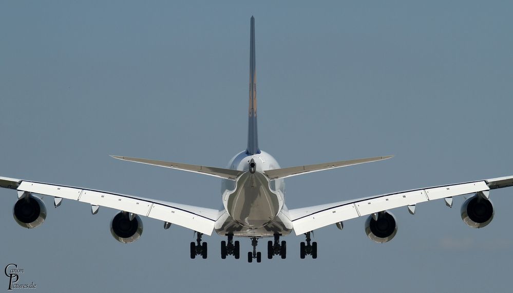 A380-800 D-AIMA Frankfurt am Main in Düsseldorf VI