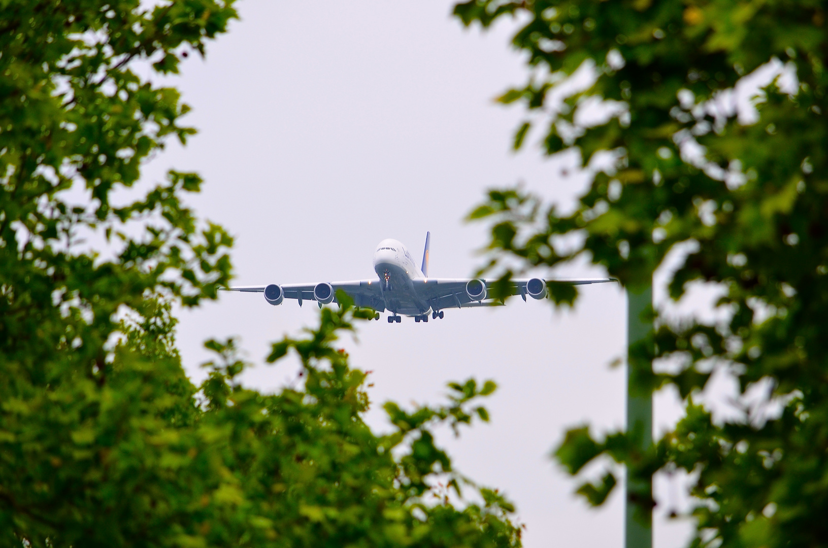 A380-800 Düsseldorf