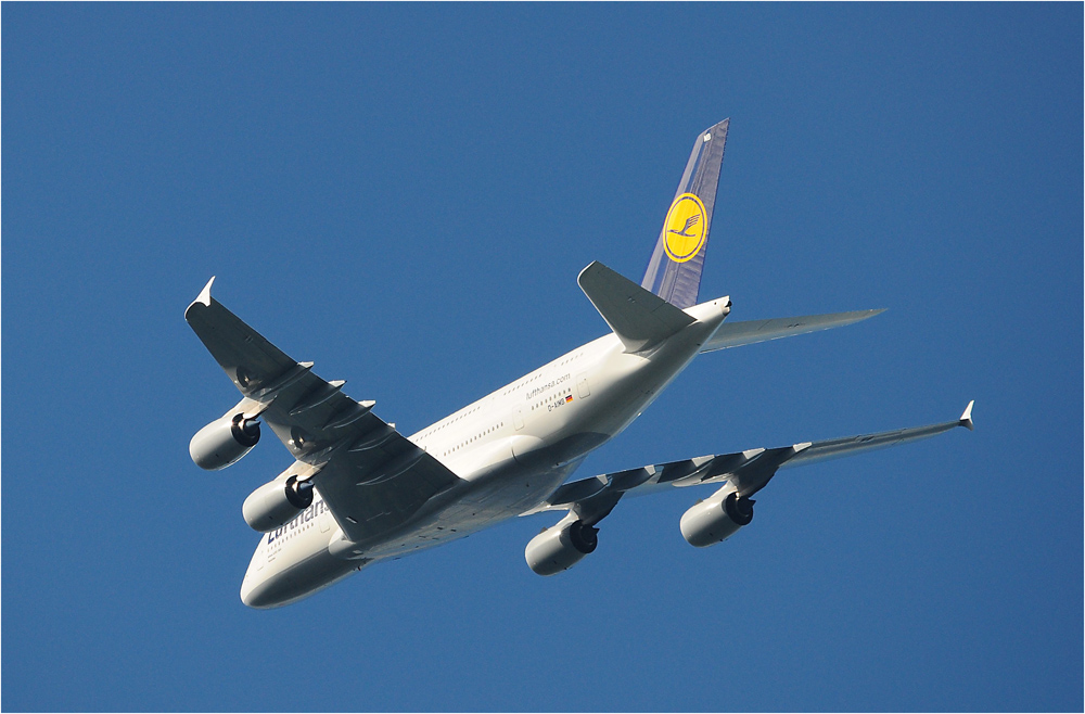 A380-800