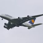 A380-800 im Landeanflug