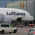 A380 D-AIMA (Die Frankfurt in Frankfurt)