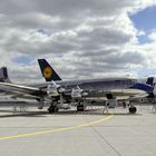 A380 Frankfurt und DC 6 B Flying Bull´s bei dem Tag der Luftfahrt in FRA