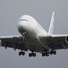 A380 frontal