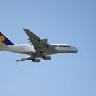 A380 in DUS / 2