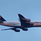 A380 - Lufthansa